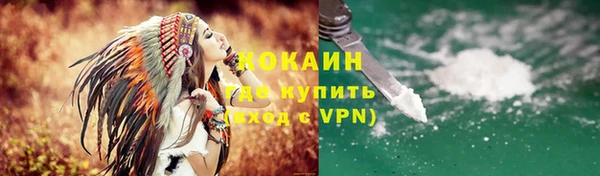 ешки Инта