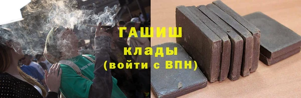 ешки Инта