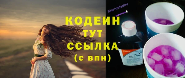 ешки Инта